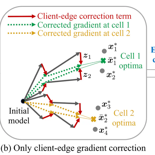 Hierarchical federated learning with multi-timescale gradient correction